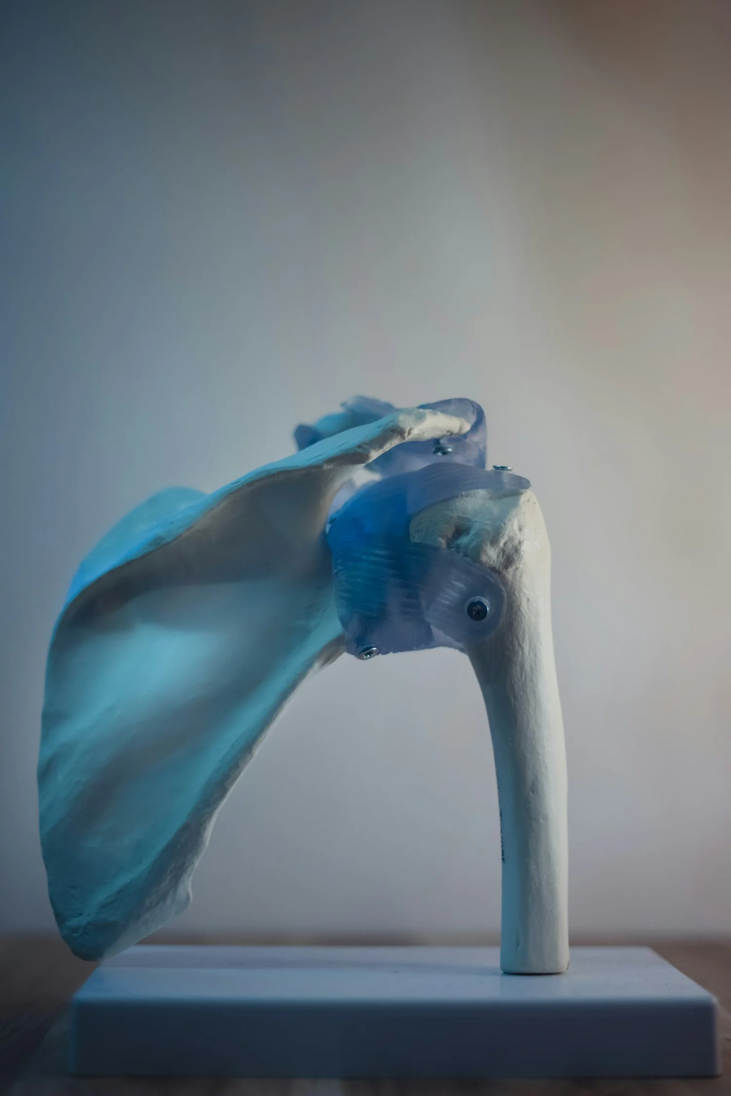 Common shoulder pain struggles